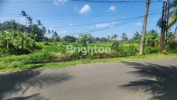 Tanah Disewakan Lokasi Gianyar