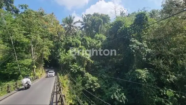 Tanah Disewakan Lokasi Ubud