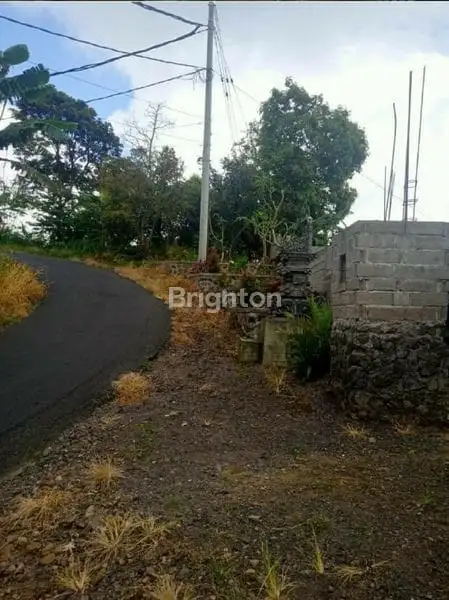 Tanah Dijual Area Bedugul