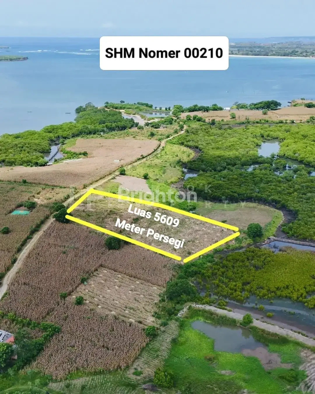 TANAH MURAH 1.4M, PINGGIR SIRKUIT MANDALIKA - Vicko Property Advisor